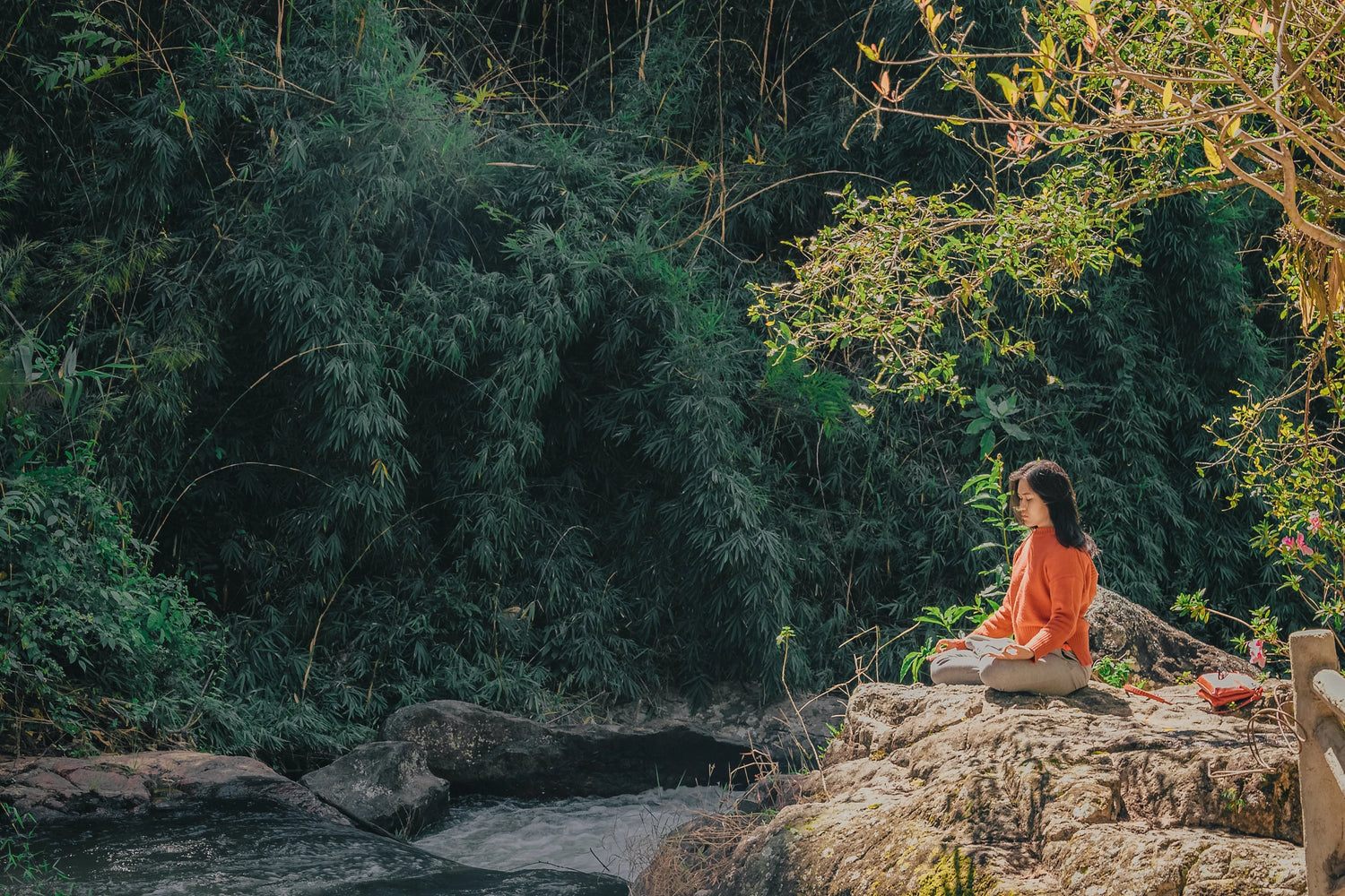 Exploring the Profound Benefits of Seated Yoga Poses